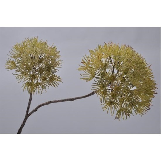 Česnek omrzlý zeleno/bílý 94 cm_0