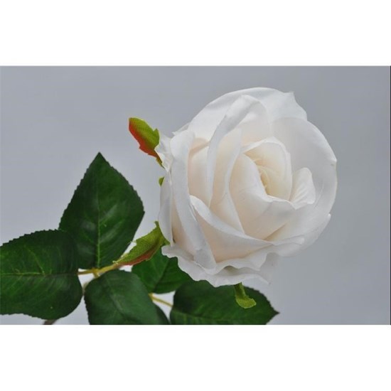 Růže sv.broskvová/krémová 48 cm_0