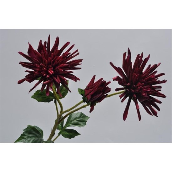 Jiřina tm.červená 95 cm_0