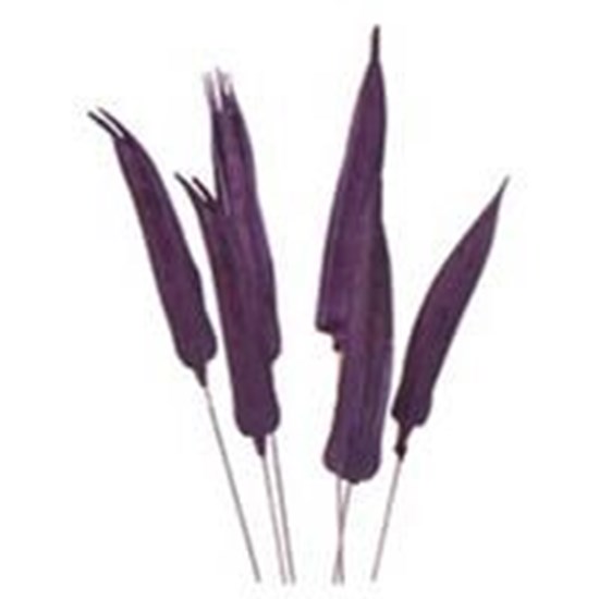 Větvička lusk 6ks/svazek - fialo_0