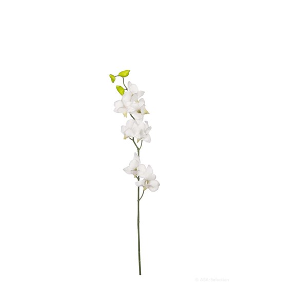 Orchidej 60 cm_0