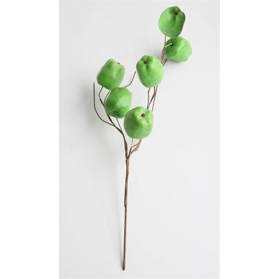 Větvička velká jablka zelené_1