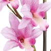 Orchidej 60cm růžová (bez květináče)_0