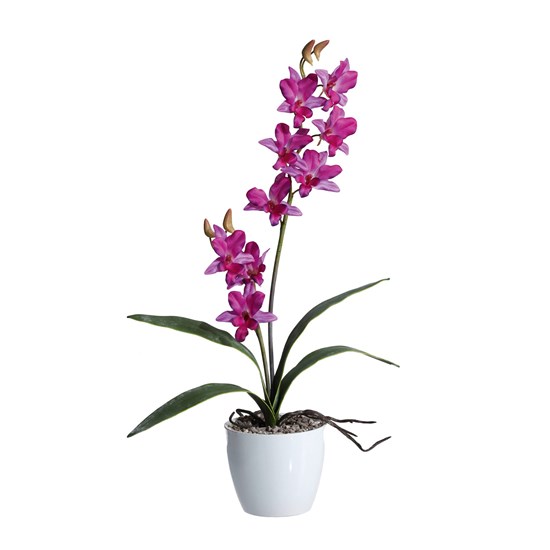 Orchidej 60cm fialová (bez květináče)_0