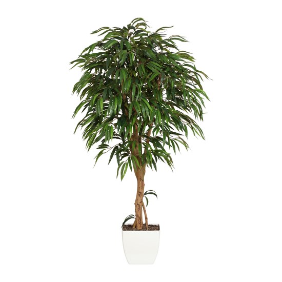 Strom Ficus 180 cm (plastový obal)_0