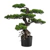 Bonsai 65 cm vč. květináče_0