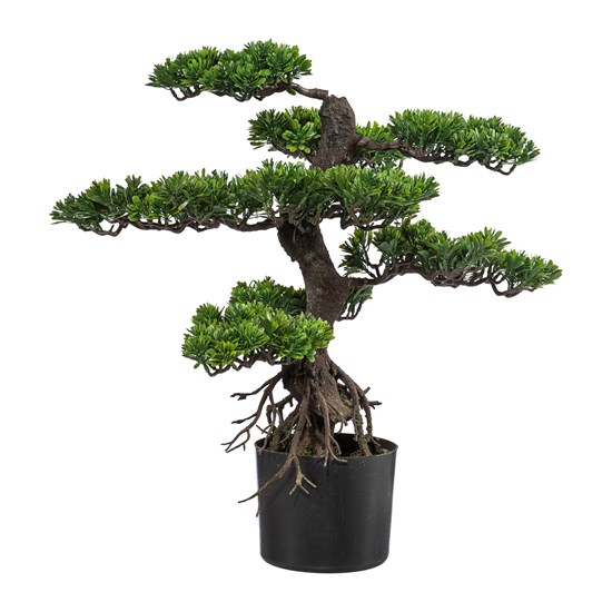 Bonsai 65 cm vč. květináče_0