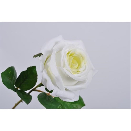 Růže bílá/sv. zelená_0