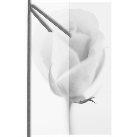 Přání smuteční růže_0