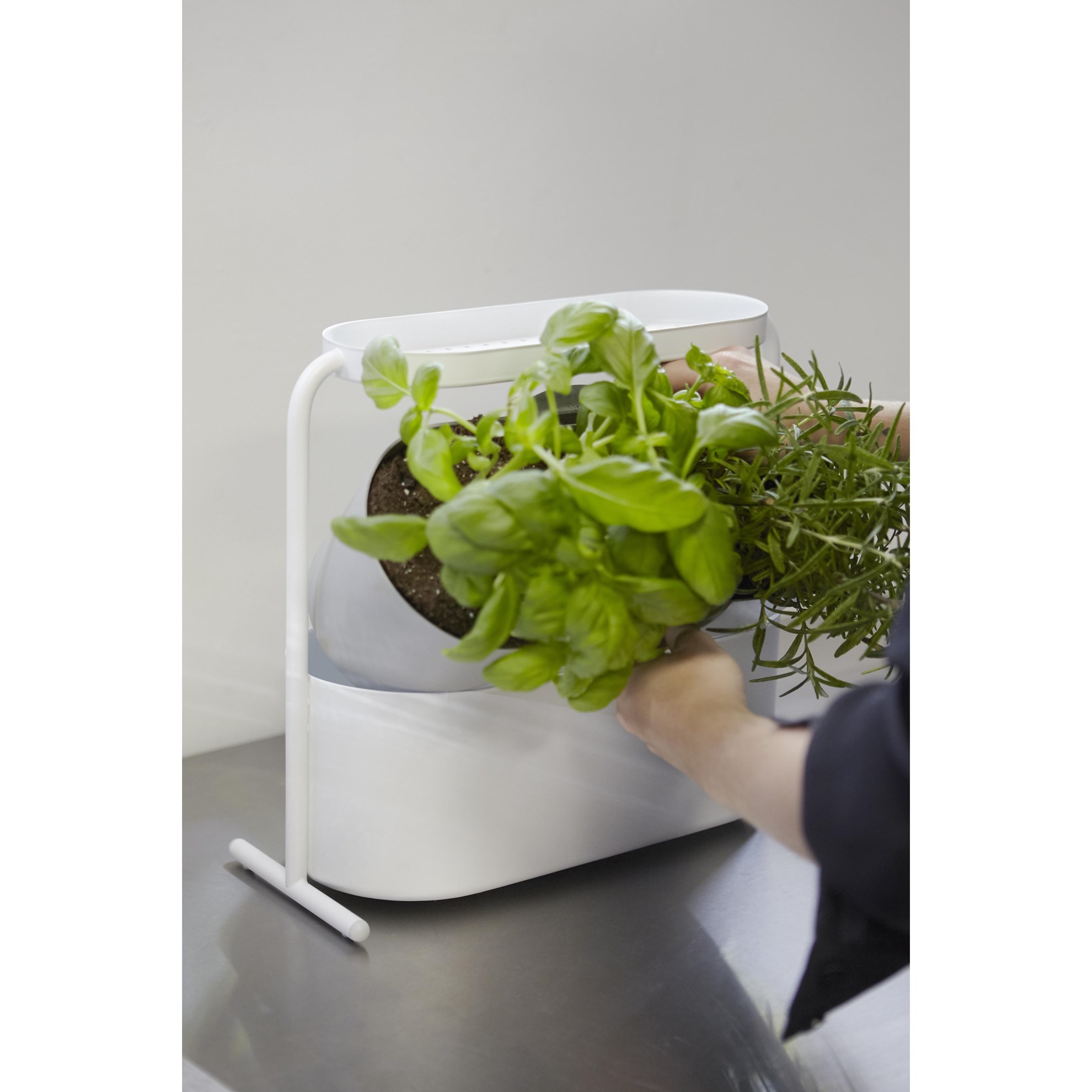 Květináč na bylinky GIARDINO_4