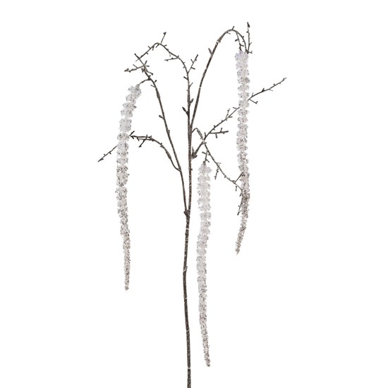 Amaranthus větvička_0