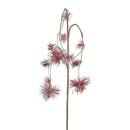 Distelhängezweig 1/Poly_0