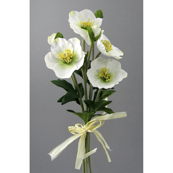 Christrosenarrangement 4/Poly_0