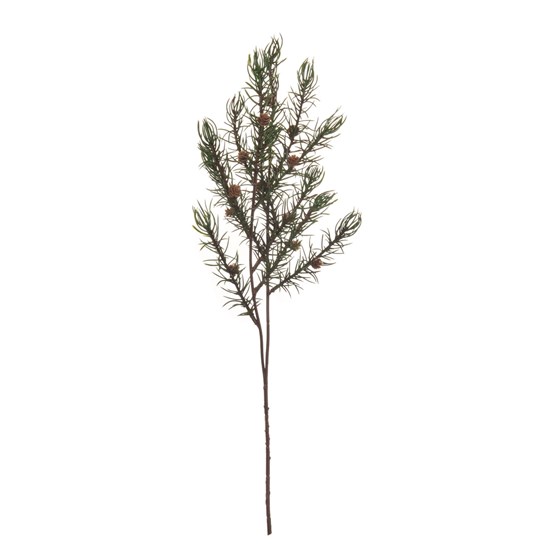 Větvička borovice 46cm_0