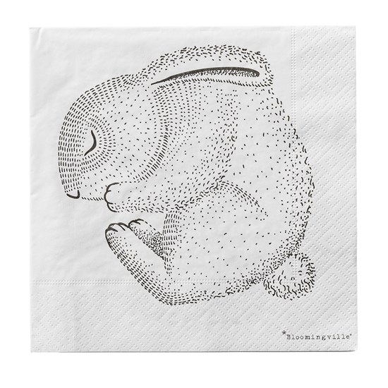 Papírové ubrousky s potiskem BAL/20ks_0