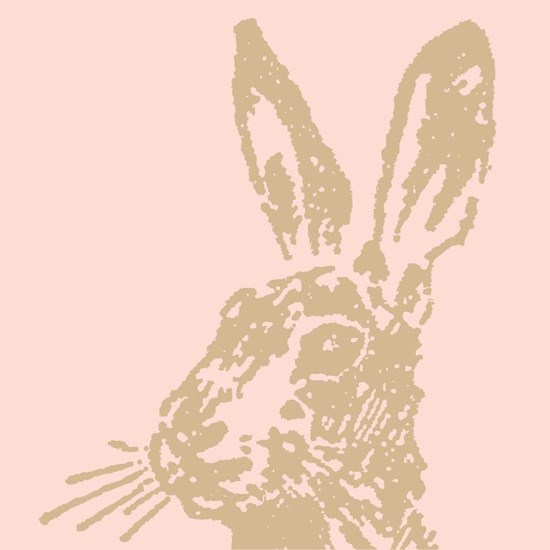 Papírové ubrousky 33x33cm BAL/20ks_0