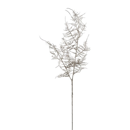 Větev Asparagus 75 cm stříbrná_0