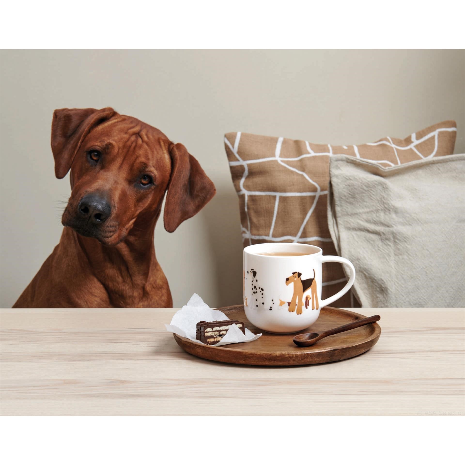 Hrnek s uchem COPPA CATS&DOGS 5_0