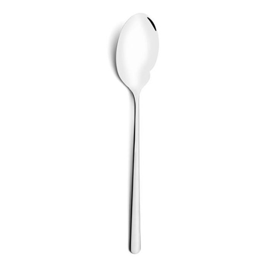 Gurmánská lžíce ICON_0