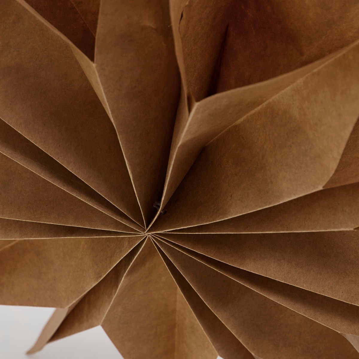 Obrázok z Papierová 12cípa hviezda CAPELLA 50 cm prírodná hnedá