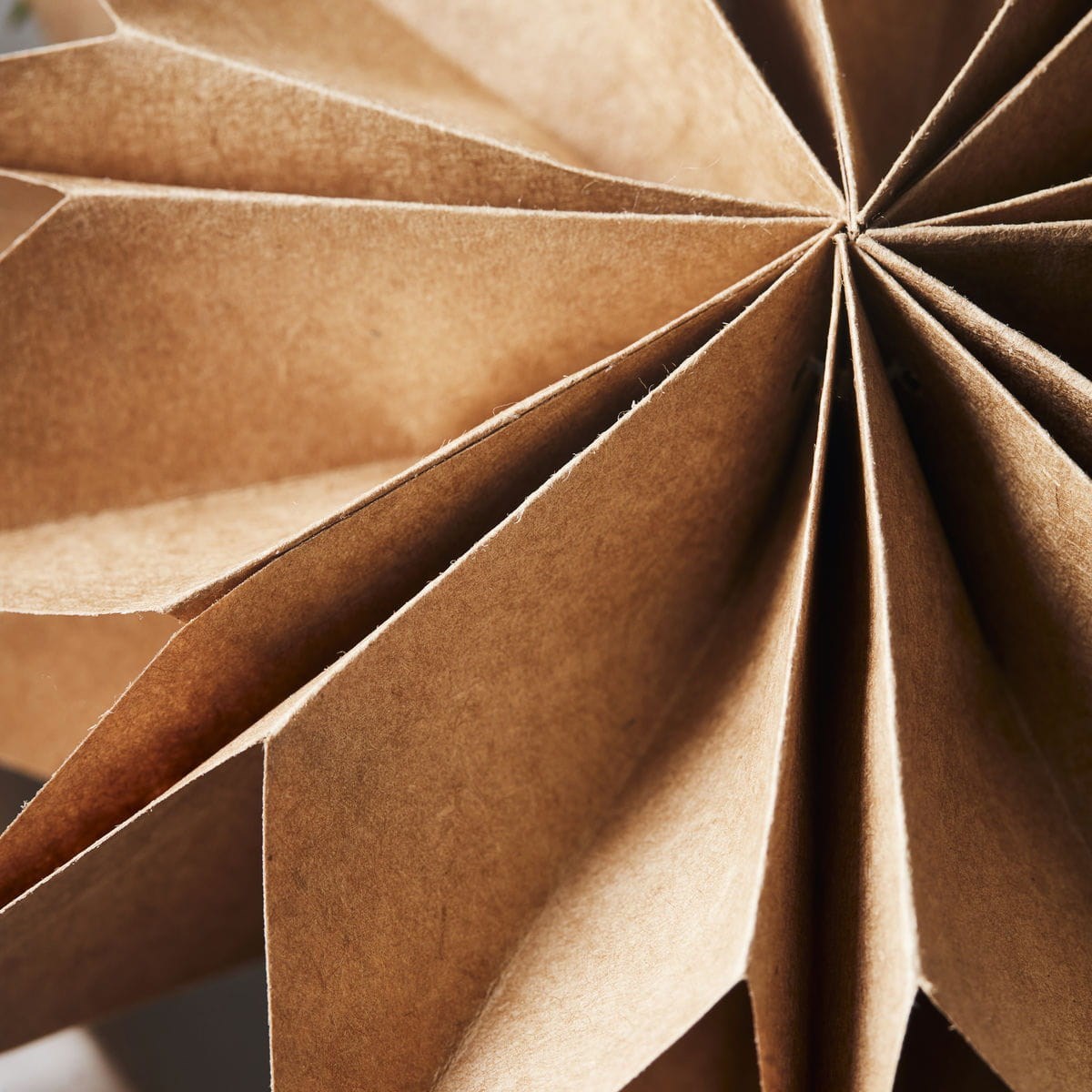 Obrázok z Papierová 12cípa hviezda CAPELLA 30 cm prírodná hnedá