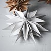Obrázok z Papierová 12-cípa hviezda CAPELLA 30 cm perleťová