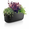 Samozavlažovací květináč na bylinky HERB černý_0