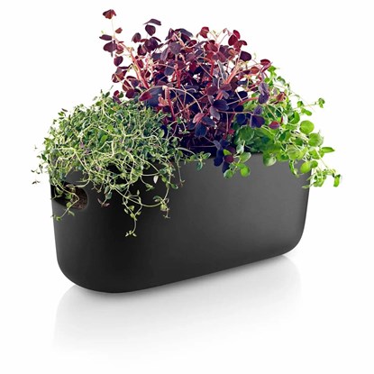 Samozavlažovací květináč na bylinky HERB černý_0