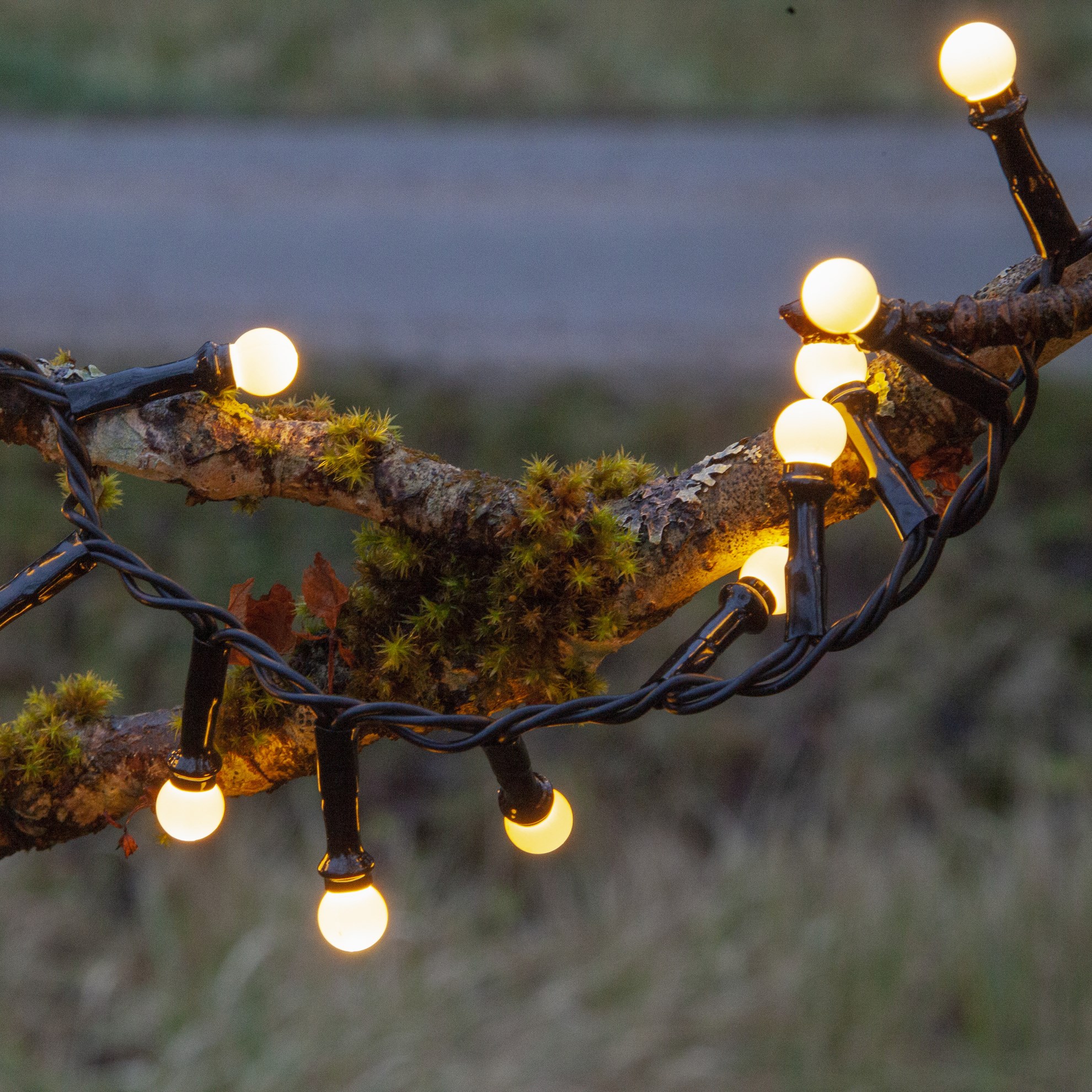 Venkovní LED světelný řetěz BERRY MINI, 300x LED, 6 m, 7 funkcí_0