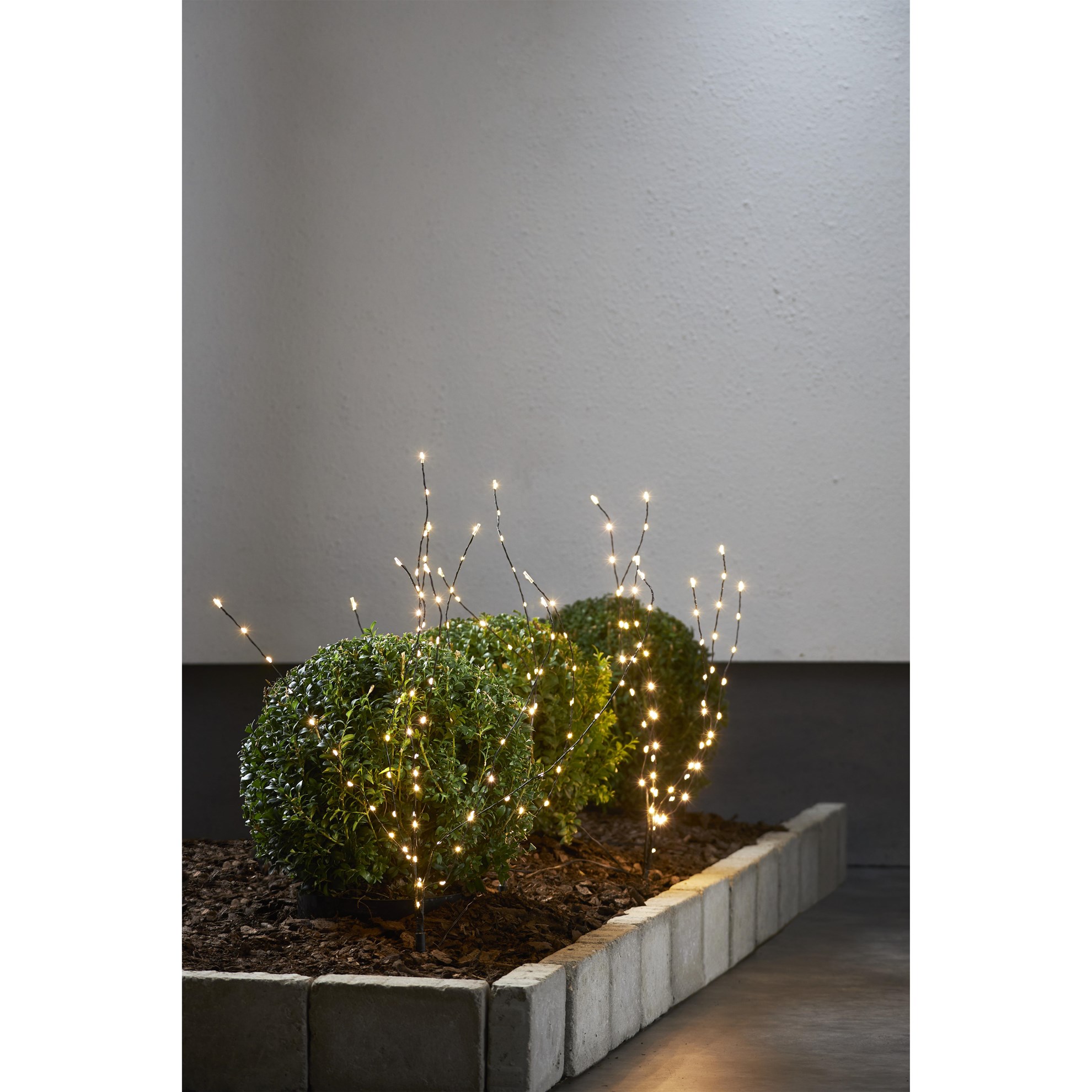 LED-Tree "Reedy", 3 pcs.
black, 180 warmwhite LED,
ca. 100x60 cm, transformer,_1