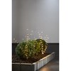 LED-Tree "Reedy", 3 pcs.
black, 180 warmwhite LED,
ca. 100x60 cm, transformer,_1