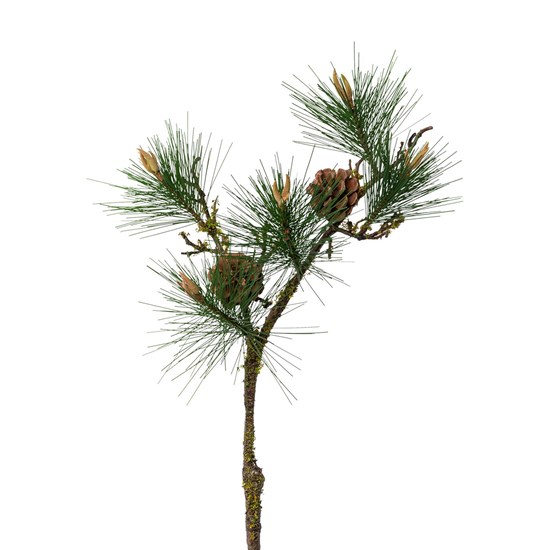 Větev borovice horské  75 cm_0
