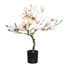 Magnolie s LED osvětlením 58 cm_0