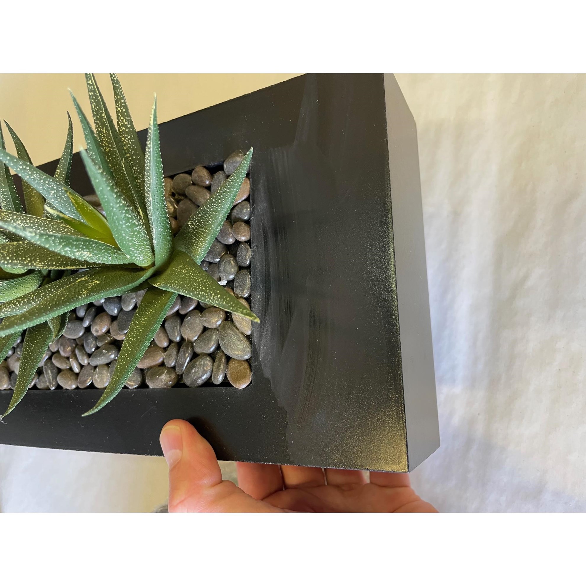 Agave 3ks v květináči (SLEVA LEPIDLO NA DŘEVĚ)_3