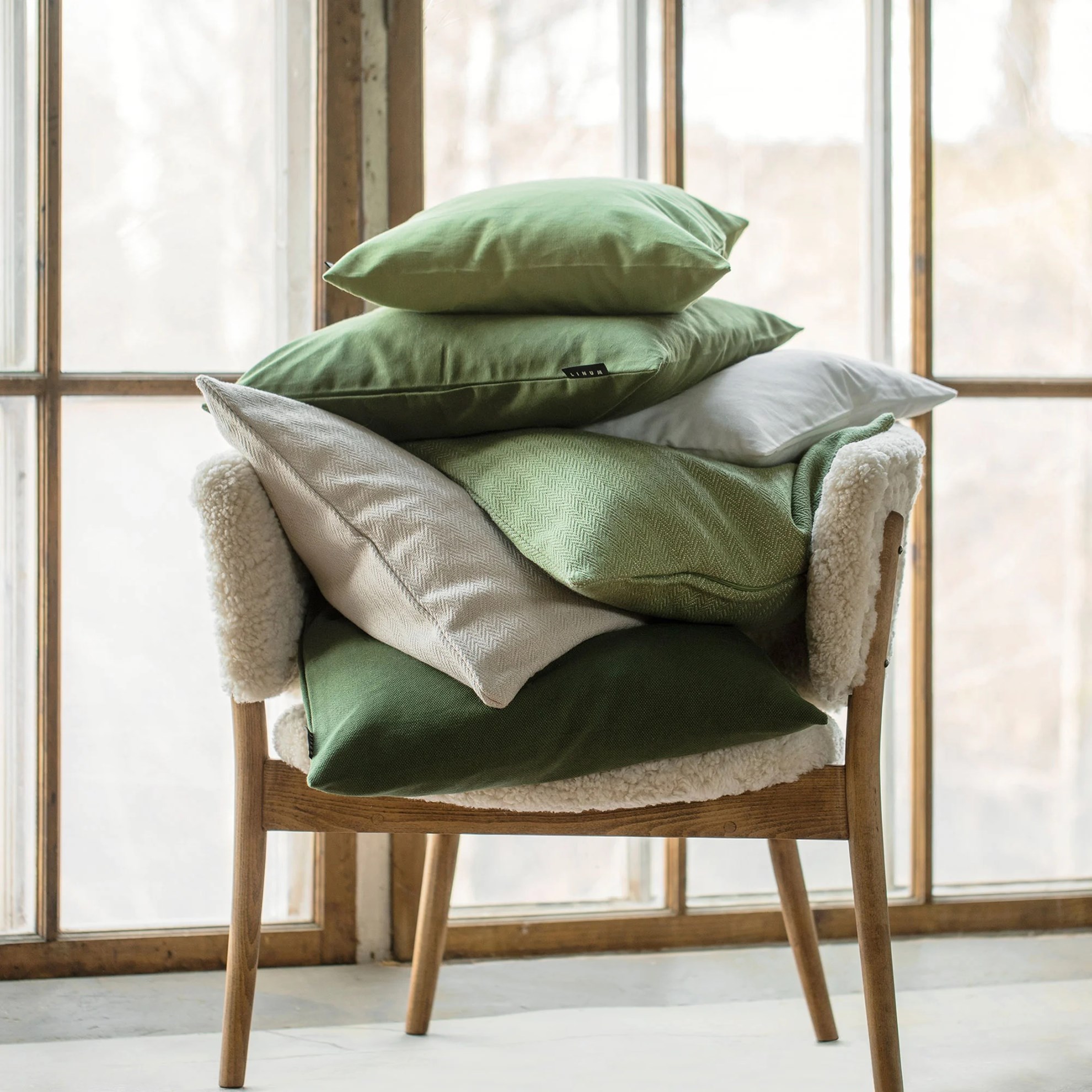 Povlak na polštář 50x50 SHEPARD modrý_2