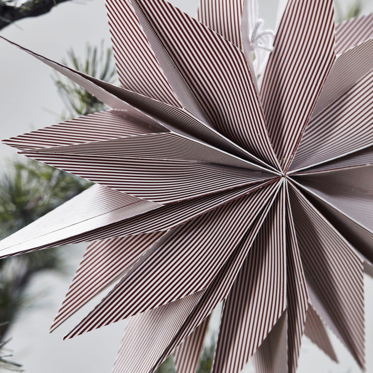 Papírová 12cípá hvězda CAPELLA 30 cm červeno/bílá_2