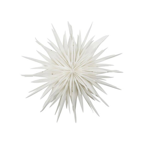 Papírová hvězda na zavěšení DUST slon.kost  P.70 cm_5