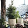 Svítící vánoční strom PINUS 20LED V.60 cm_2