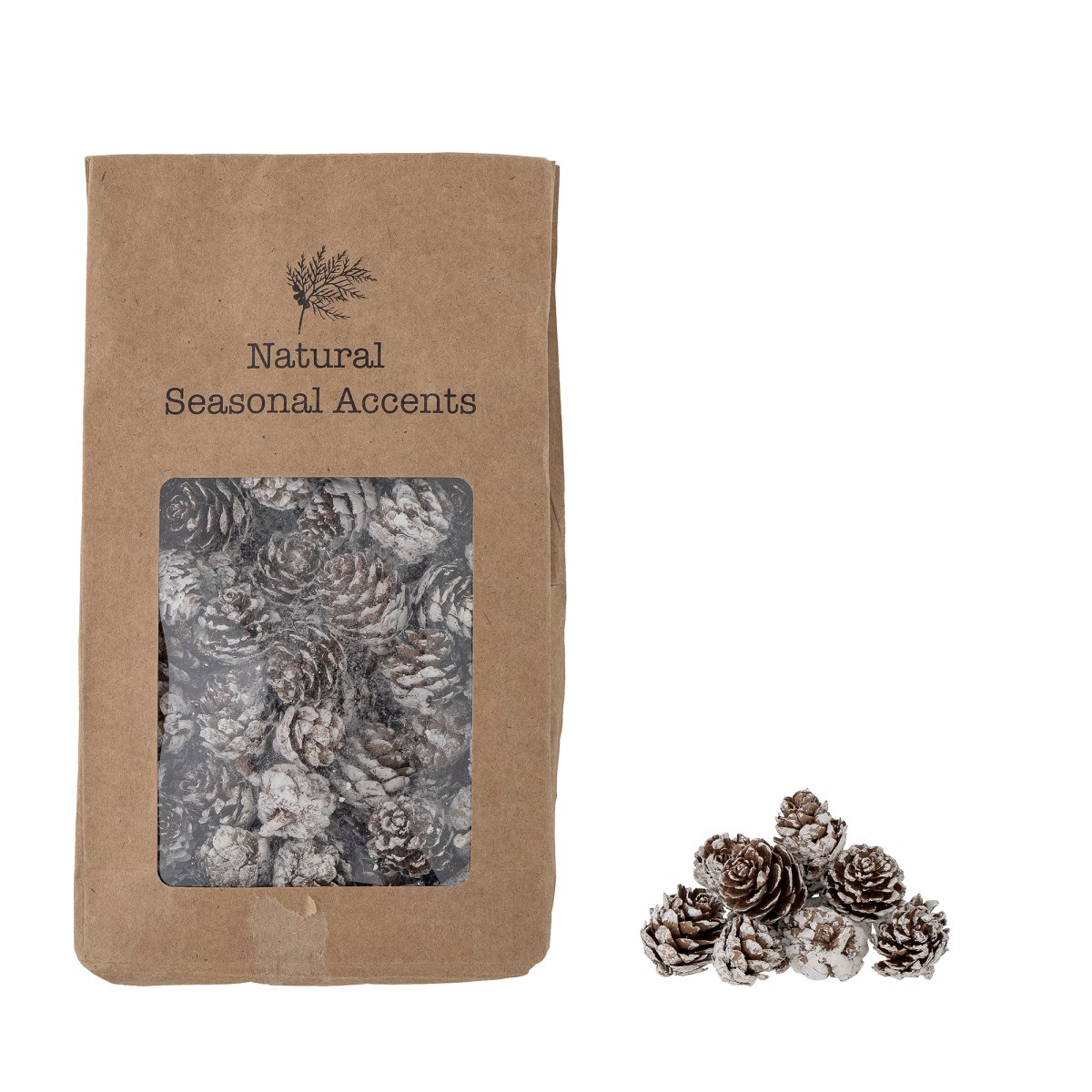 Borové bílé šišky Demis_0