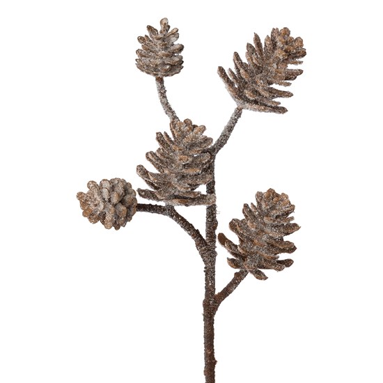 Větev se šiskami omrzlá 25 cm_0