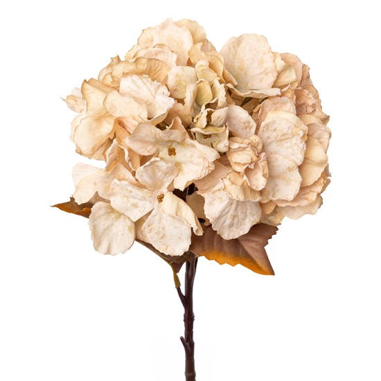 Hortenzie 48 cm béžová_0