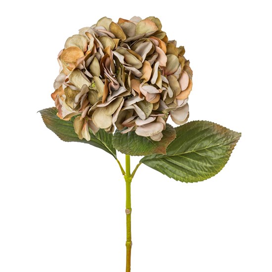 Hortenzie 65 cm zeleno/růžová_0