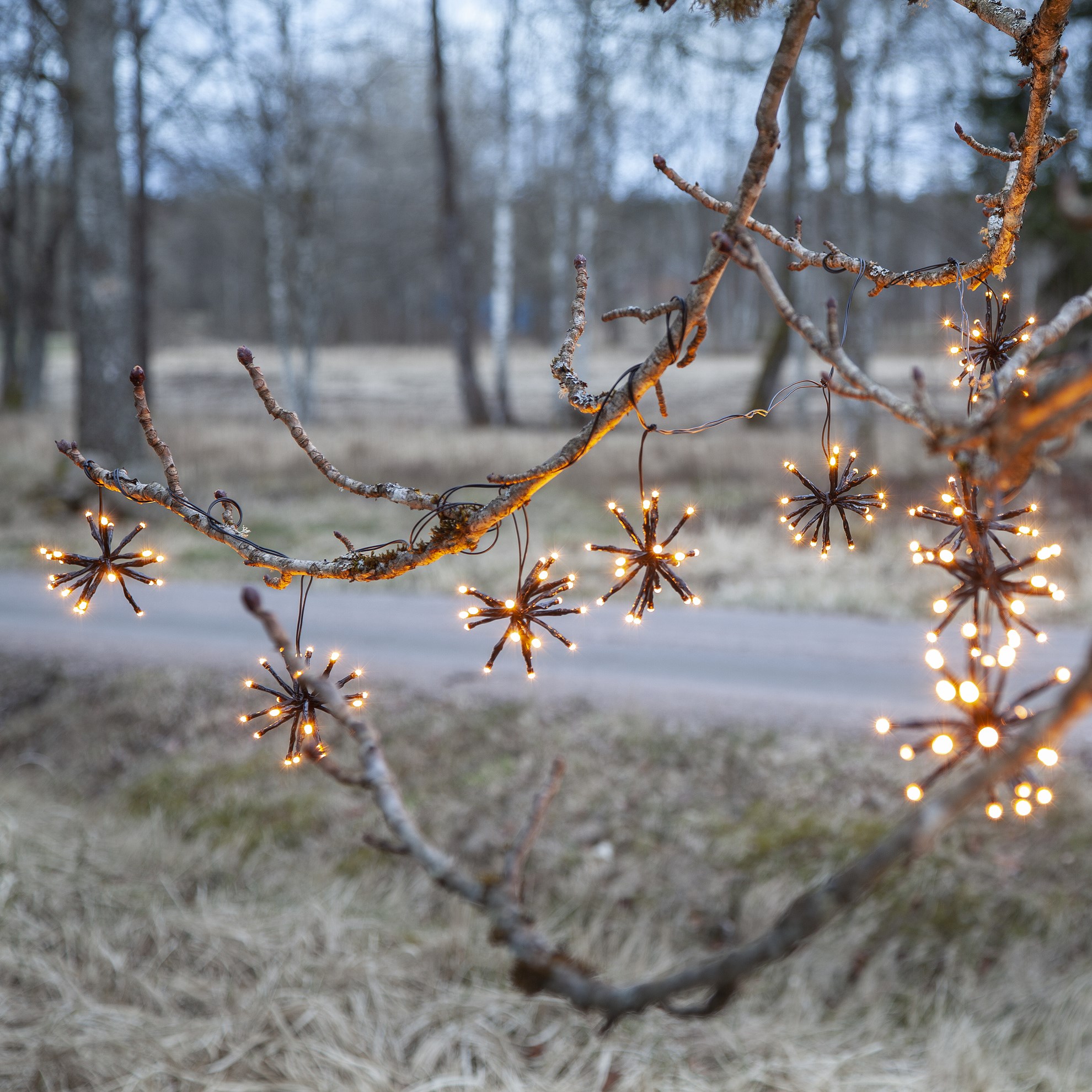 LED světelný řetěz Flower Curtain 10x LED_0