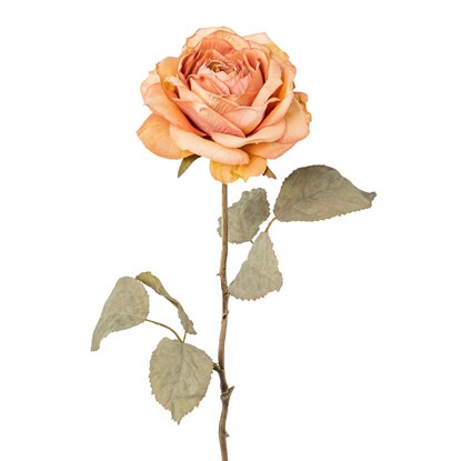 Růže 56cm starorůžová_0