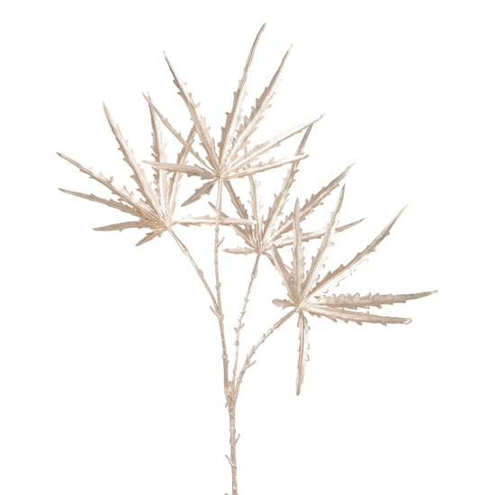 Větev Arálie V. 66cm champagne_0