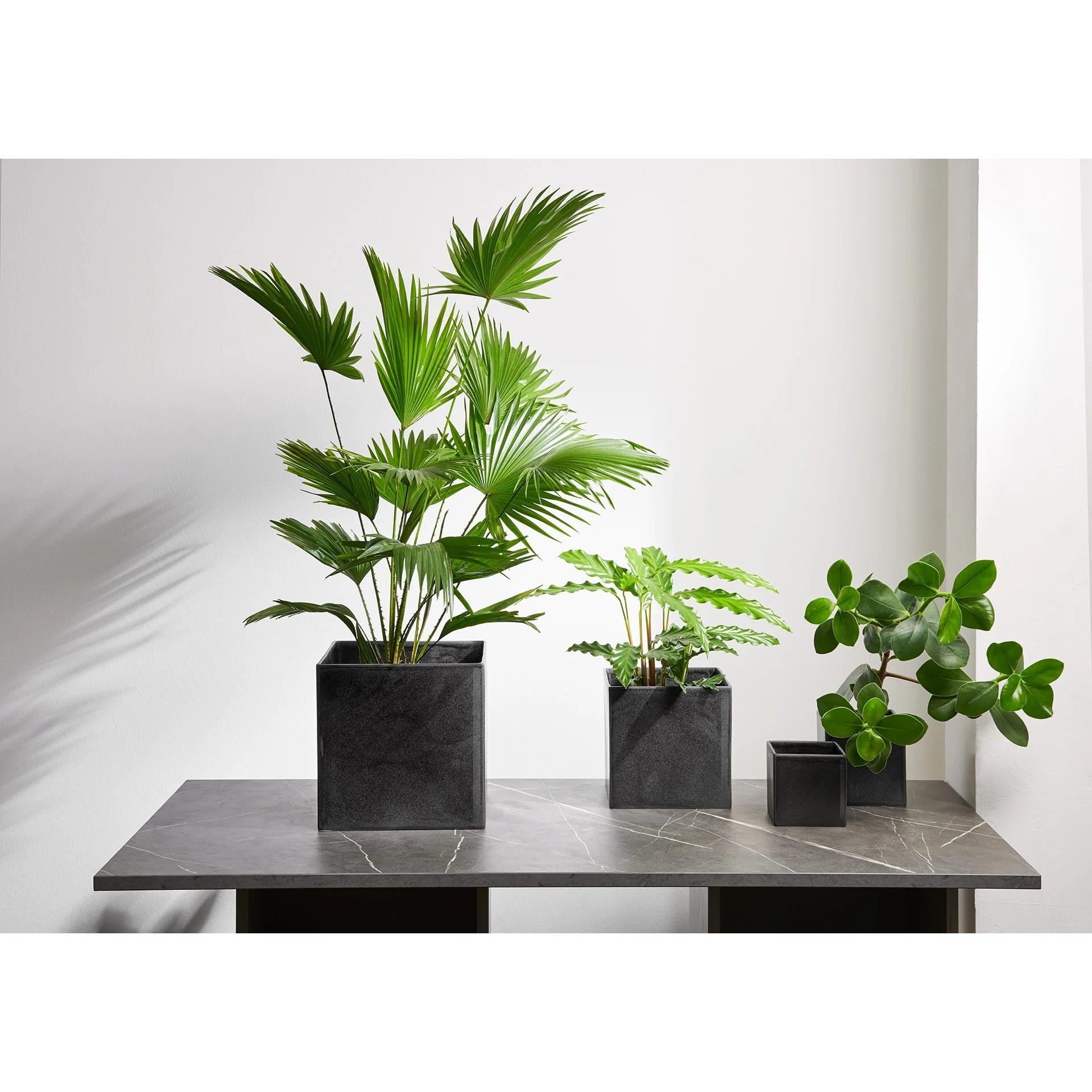 Květináč QUADRO 23x23x23cm černý_0