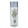 Svíčka ve skle Natural Spring 16,5x5,5 cm, 100% parafín, doba hoření 25h_0