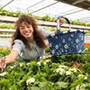 Nákupní košík Carrybag garden blue_0