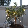 LED solární řetěz GLOBINI 20xLED D.4,7m čirý_0