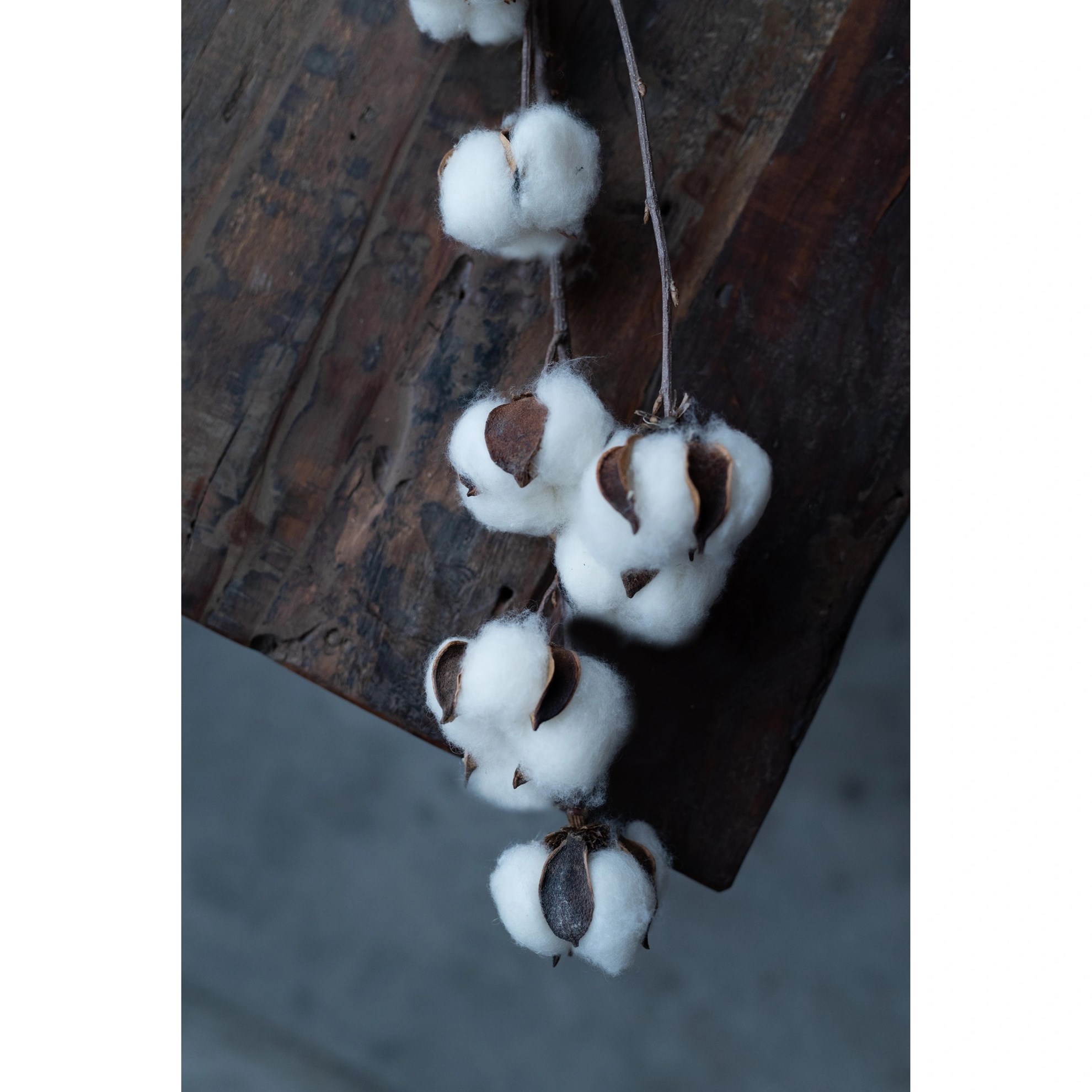 Dekorativní větvička bavlníku COTTON TWIG V.80cm_3